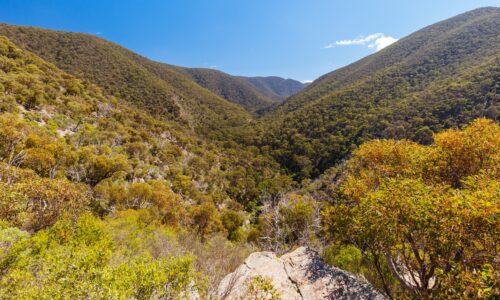 Bacchus Marsh Pest Control