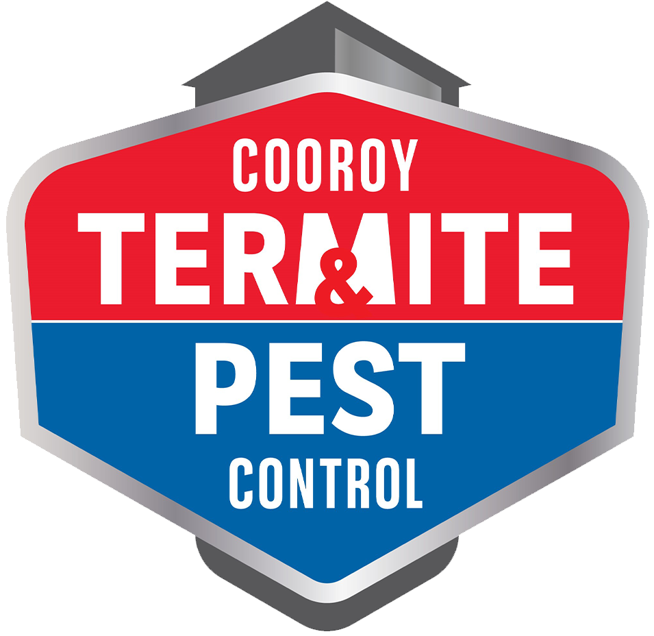 Cooroy Termite & Pest Control Is Now Part Of Flick Anticimex