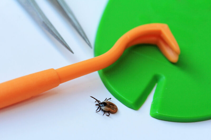 How to remove a tick