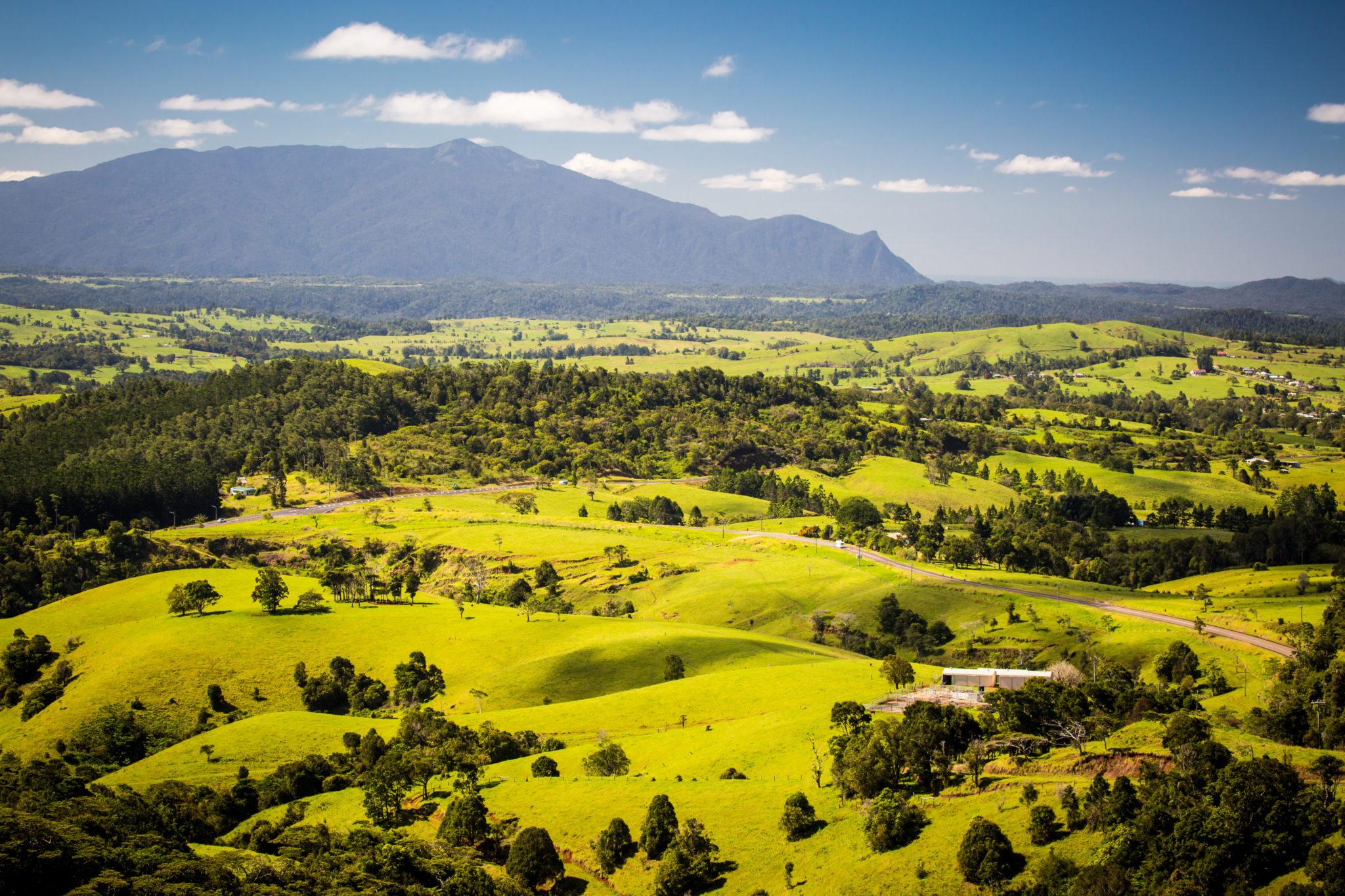 mareeba-pest-control-flick-pest-control