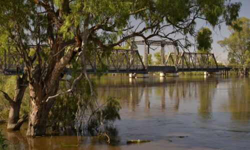 Mildura Pest Control