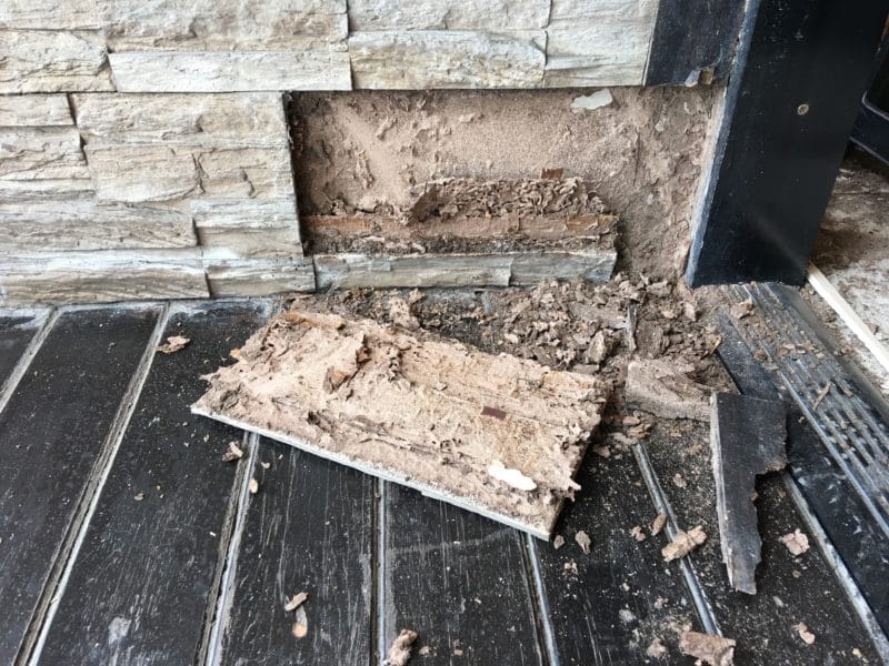 Room With Termite Damage