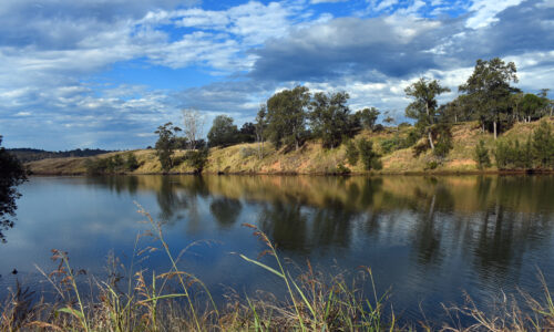 Wingham Pest Control