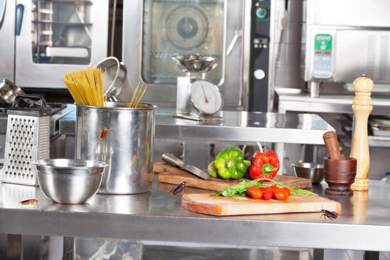 Cockroaches in Commercial Kitchen