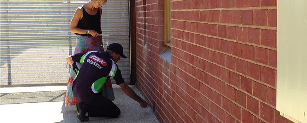 Technician Showing Customer